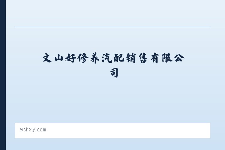 文山好修养汽配销售有限公司 列表图