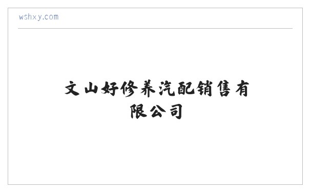 文山好修养汽配销售有限公司 缩略图